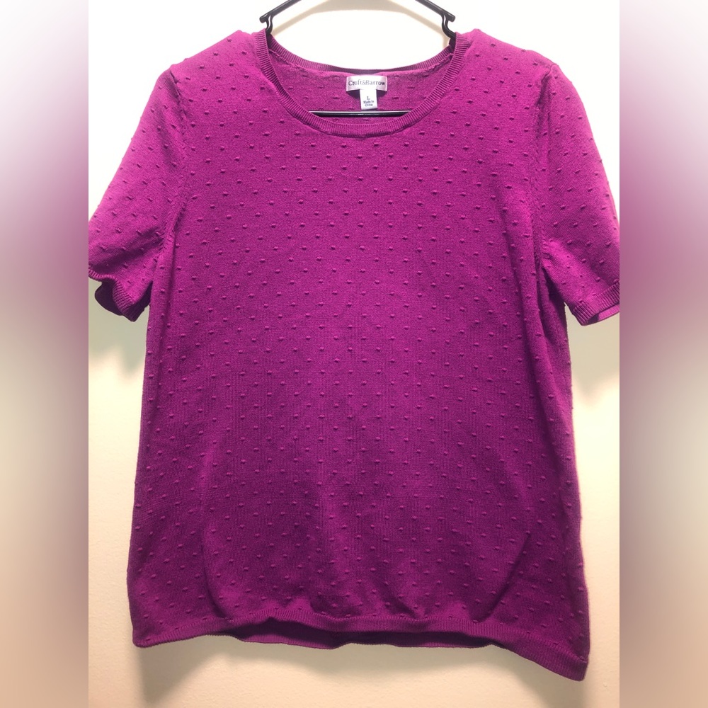 Women’s knit shirt sleeve shirt. Brand is Croft and Barrow. Size Large.